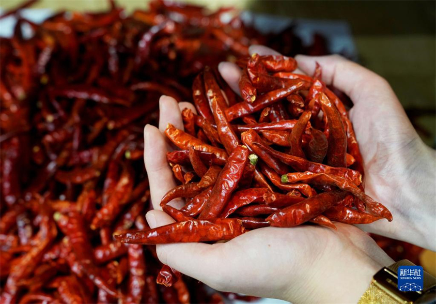 117ڵʳƷũƷչ¬ڵйʽڲʳƷũƷչǿȡϷѾơţ͹ȷչᣬġζ» ӱ 