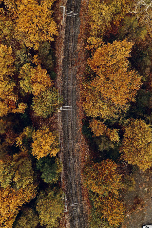 ICPhoto��Ȩ��Ʒ������ת�ء�