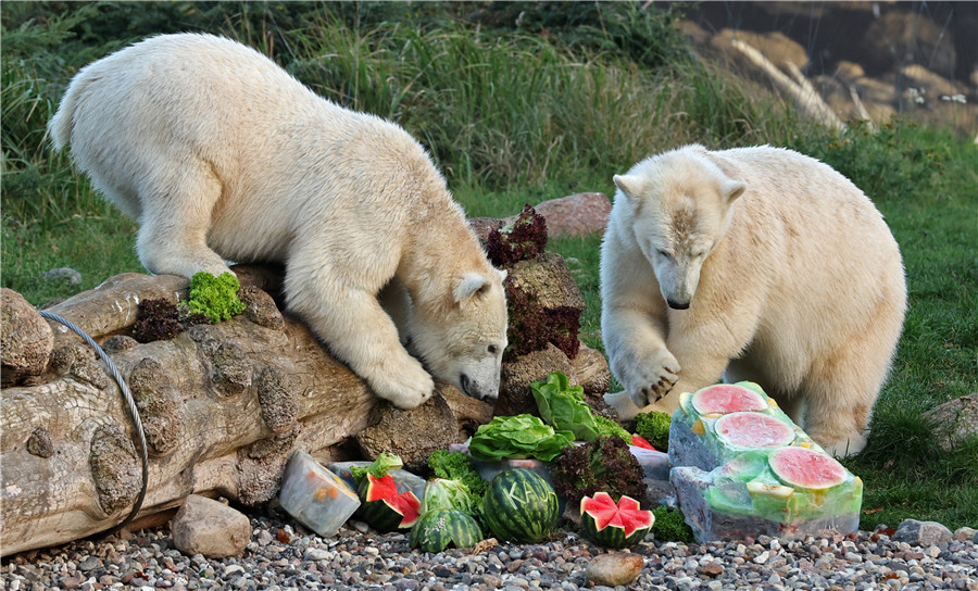 ICPhoto��Ȩ��Ʒ������ת�ء�