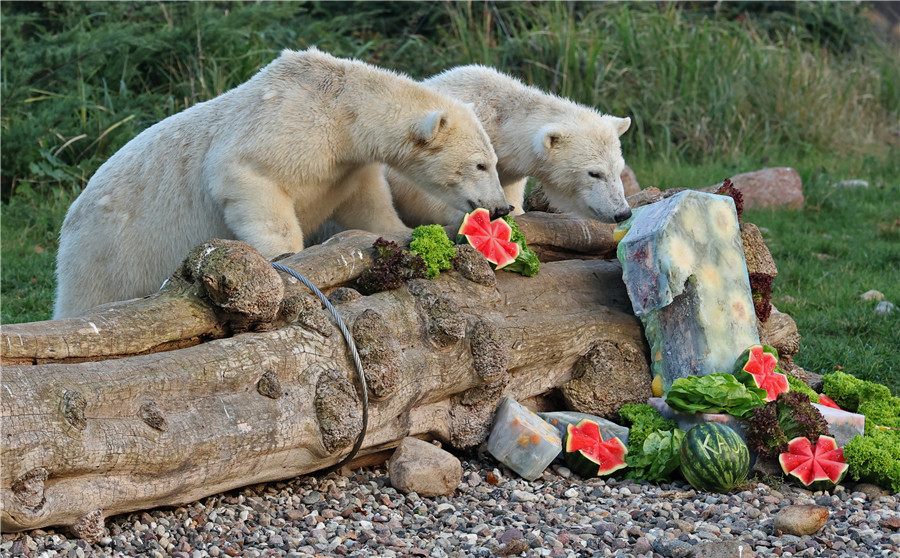 ICPhoto��Ȩ��Ʒ������ת�ء�