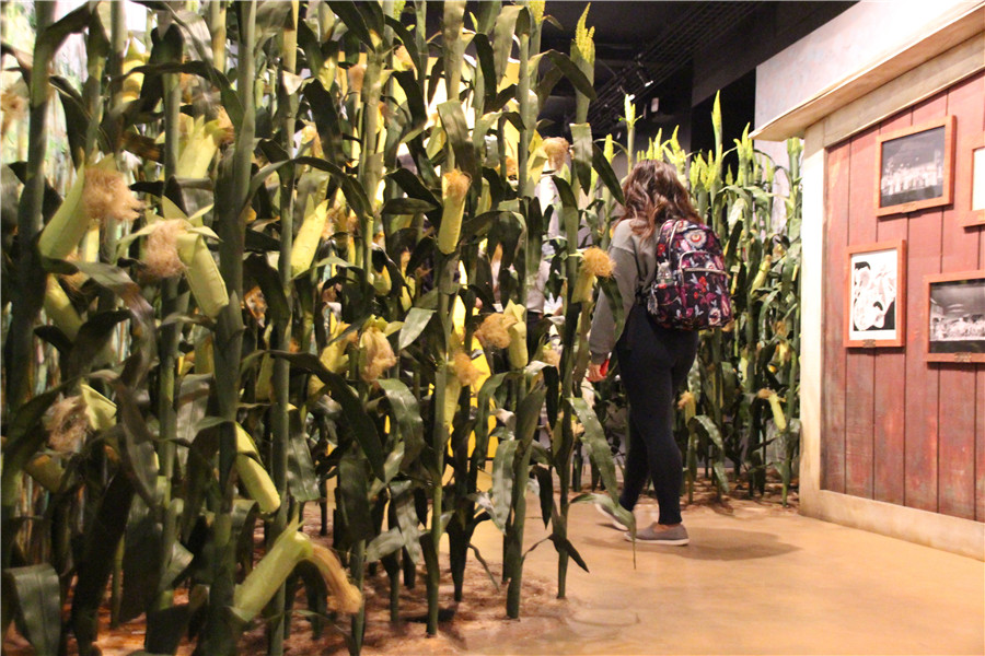 ICPhoto��Ȩ��Ʒ������ת�ء�