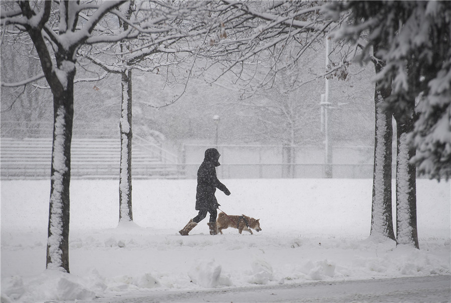 ICPhoto��Ȩ��Ʒ������ת�ء�