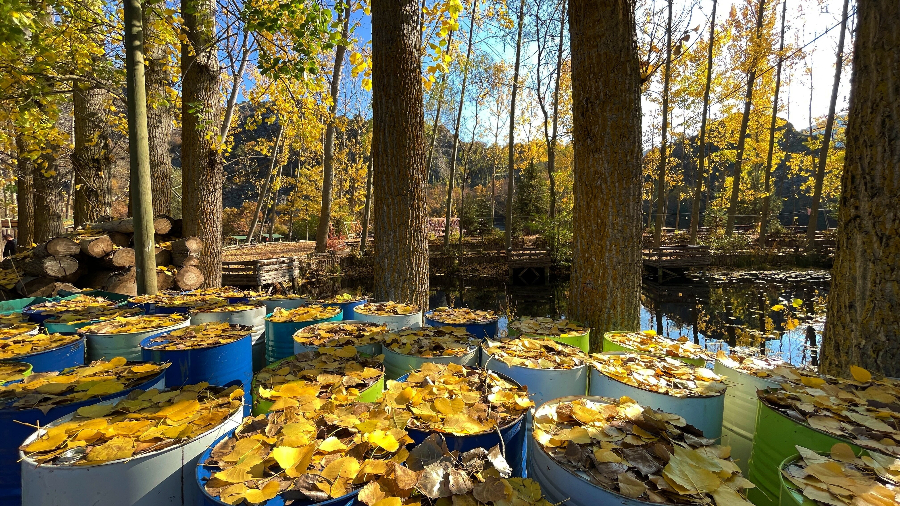 ICPhoto��Ȩ��Ʒ������ת�ء�