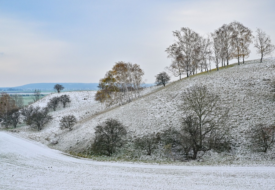 IC Photo��Ȩ��Ʒ������ת�ء�