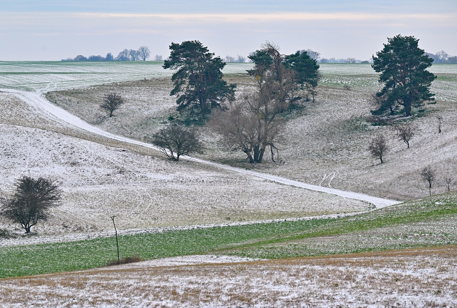 IC Photo��Ȩ��Ʒ������ת�ء�