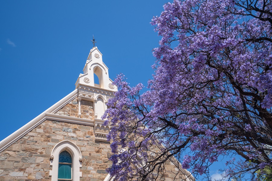 IC Photo��Ȩ��Ʒ������ת�ء�