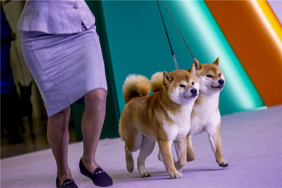 IC Photo��Ȩ��Ʒ������ת�ء�