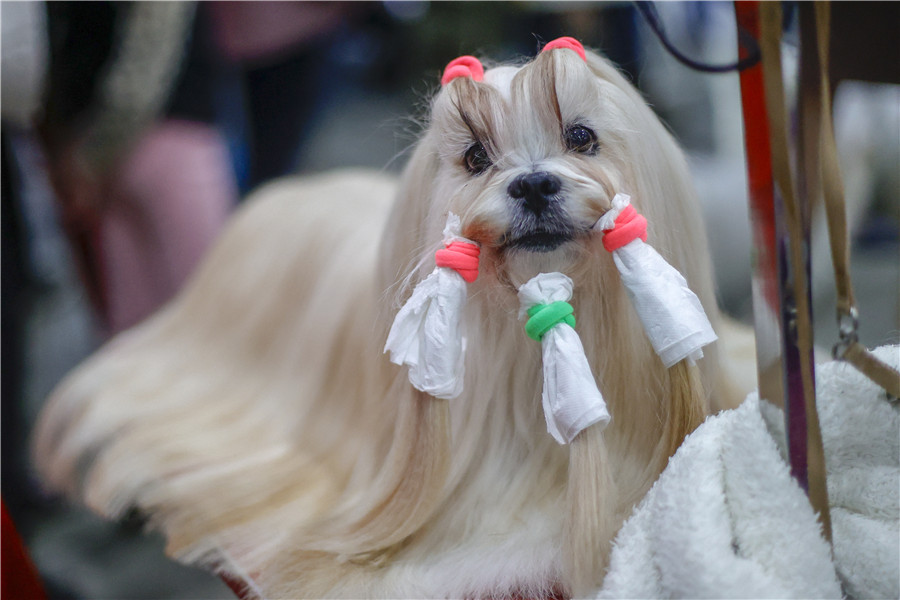 IC Photo��Ȩ��Ʒ������ת�ء�