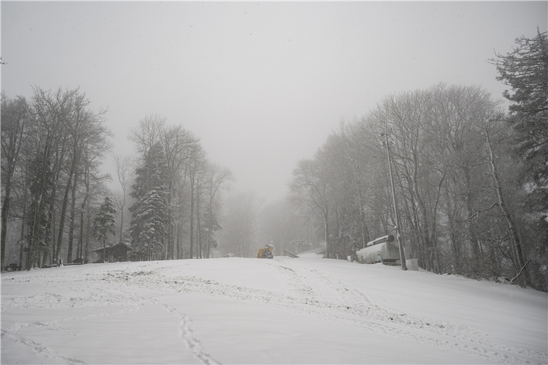 ICPhoto��Ȩ��Ʒ������ת�ء�