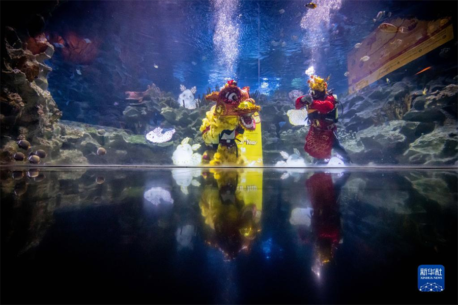 1��18�գ�ǱˮԱ���������Ǽ�¡�³��г�ˮ��ݽ���ˮ����ʨ�͡����񡱰�����ݡ����գ���¡�³��г�ˮ��ݾ�������ϵ����ף���������ʽ�����г�ˮ��ݽ��ڴ����ڼ��Ƴ�ˮ����ʨ���ݺ͡����񡱰������ڵĶ��ֺ����������ũ������ĵ������»������ ��� ��