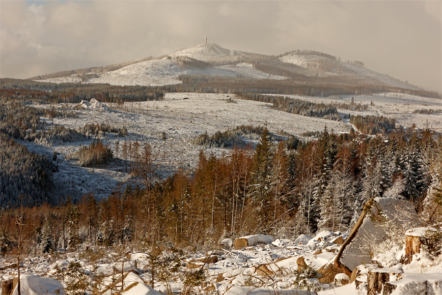 ICPhoto��Ȩ��Ʒ������ת�ء�