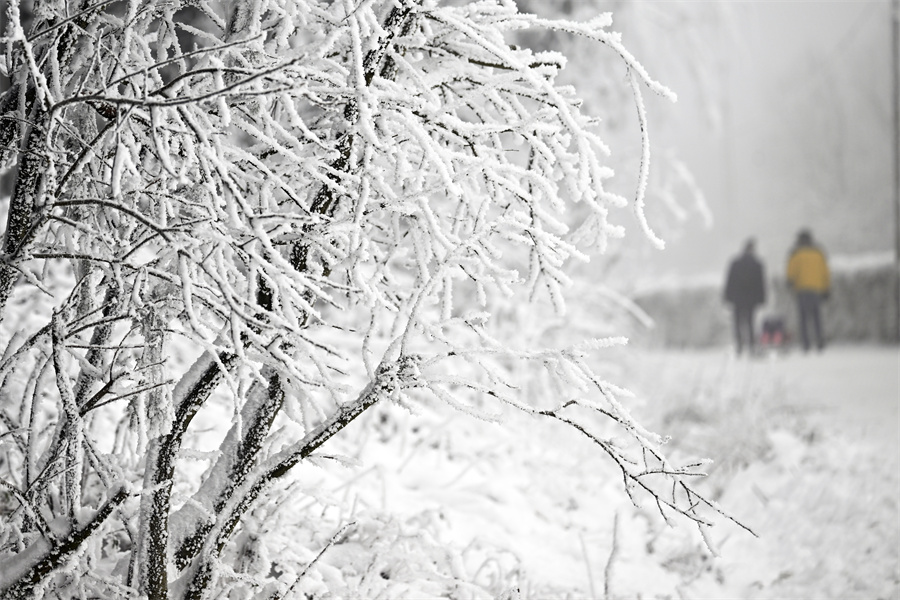 IC Photo��Ȩ��Ʒ������ת�ء�