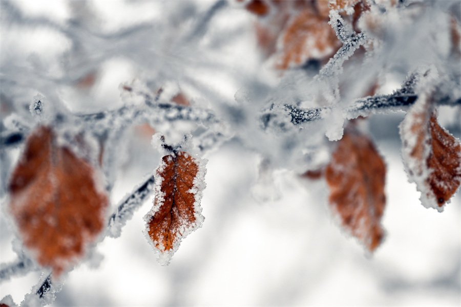 IC Photo��Ȩ��Ʒ������ת�ء�