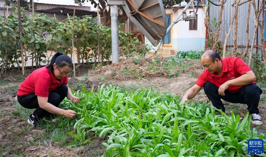 214գзǹ͹׶༪19ԮзйҽƶӸҽϼ󣩺ҽŲžפز˵βݡ19ԮзйҽƶӳԱ㽭ʡУҽƶҽɼҽԺɳҽƶ20226µִзǹ͹ʼΪ18µԮҽ񡣽2023210գҽƶӹż16675˴Ρ476̨ʵʩ2950˴Ρ» ǻ 