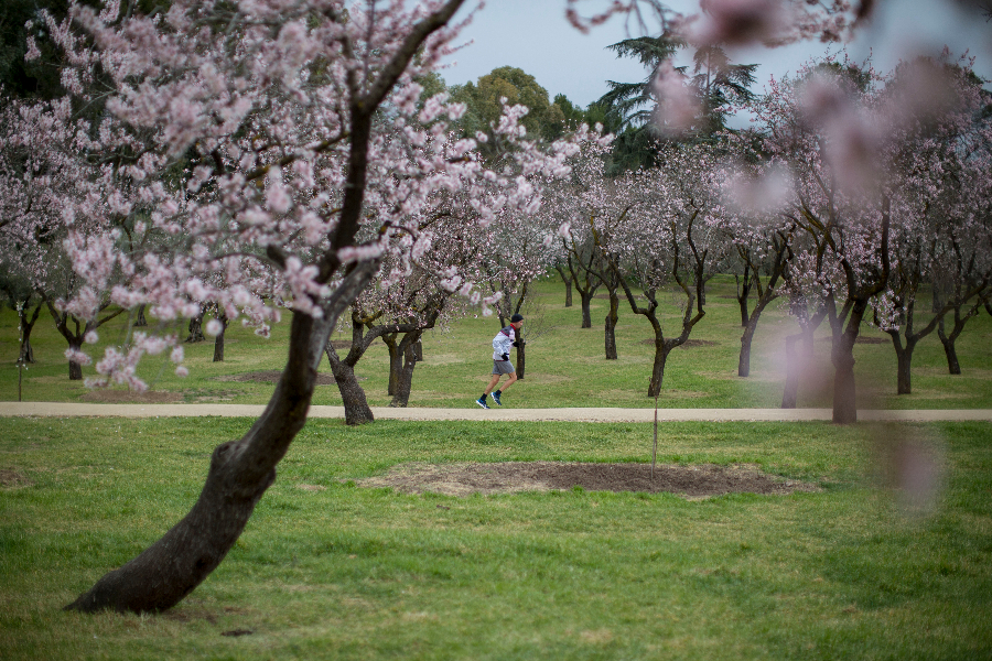 IC Photo��Ȩ��Ʒ������ת�ء�