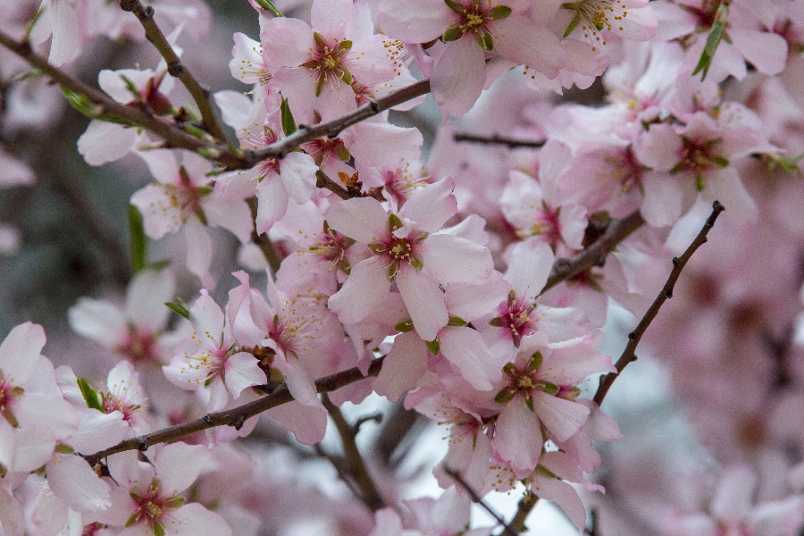 IC Photo��Ȩ��Ʒ������ת�ء�