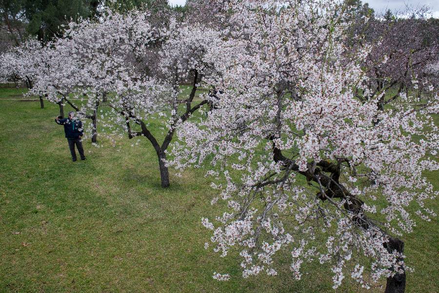 IC Photo��Ȩ��Ʒ������ת�ء�