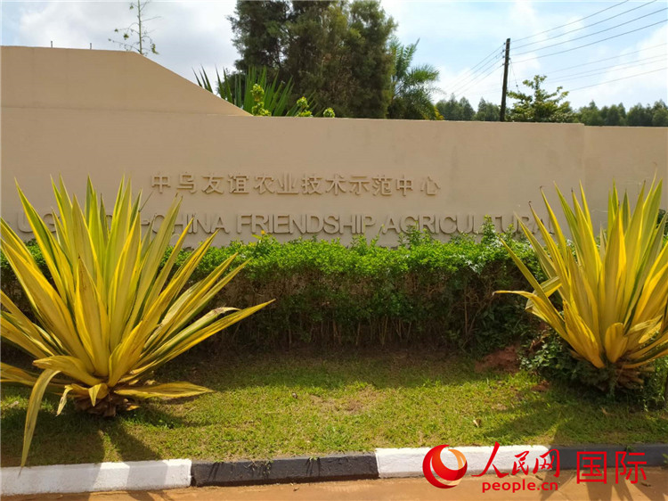 中乌友谊农业技术示范中心。人民网记者 黄培昭摄