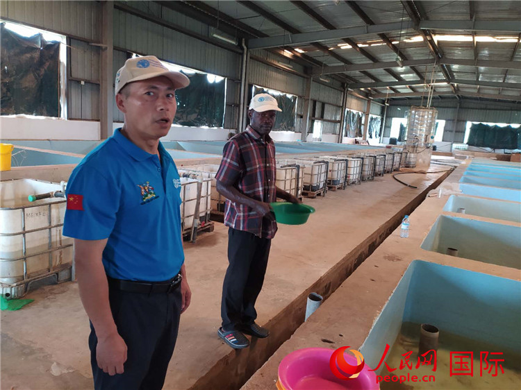 ũҵר鳤Сǿ͵ع粸䡣 