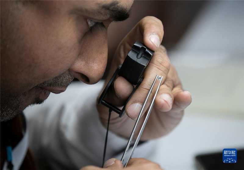 329գɫظʵʯչֳ鿴ʯ