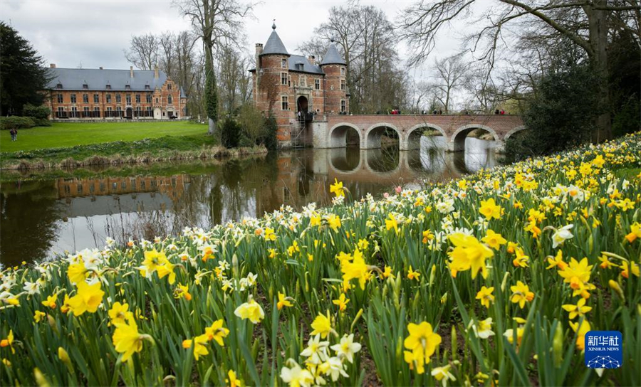 47ڱʱ׶³İݼӵǳǱ԰Ļܡ20첼³ʻչ4154ڲ³İݼӵǳǱ԰־С»֣