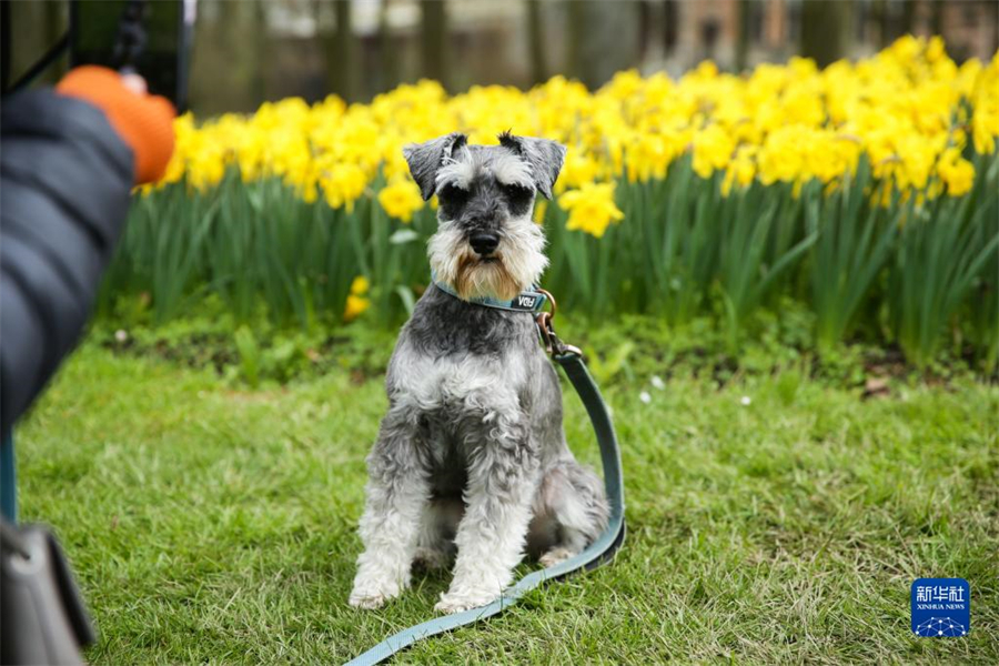 47գڱʱ׶³İݼӵǳǱ԰֣һιڻΪﹷա20첼³ʻչ4154ڲ³İݼӵǳǱ԰־С»֣