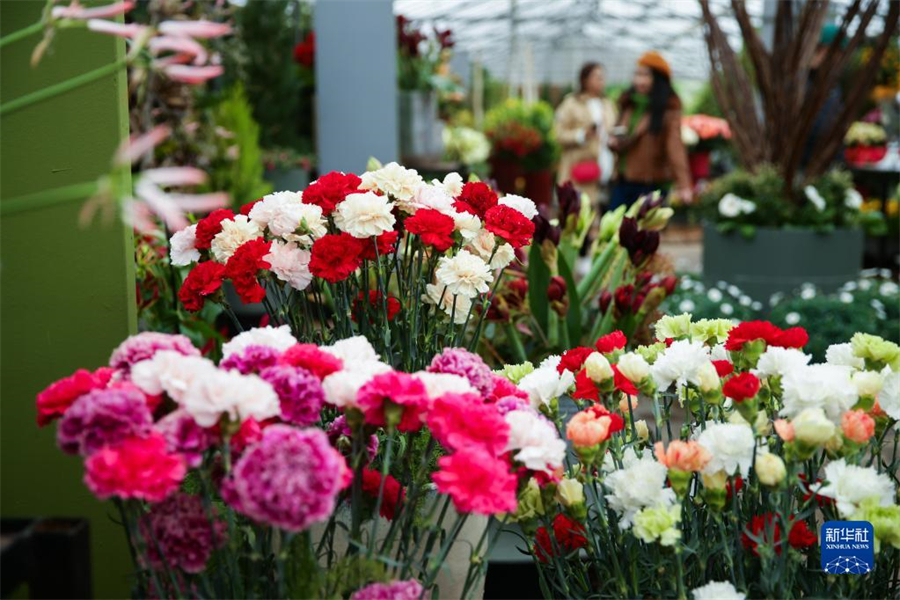 47ڱʱ׶³İݼӵǳǱ԰Ļܡ20첼³ʻչ4154ڲ³İݼӵǳǱ԰־С»֣