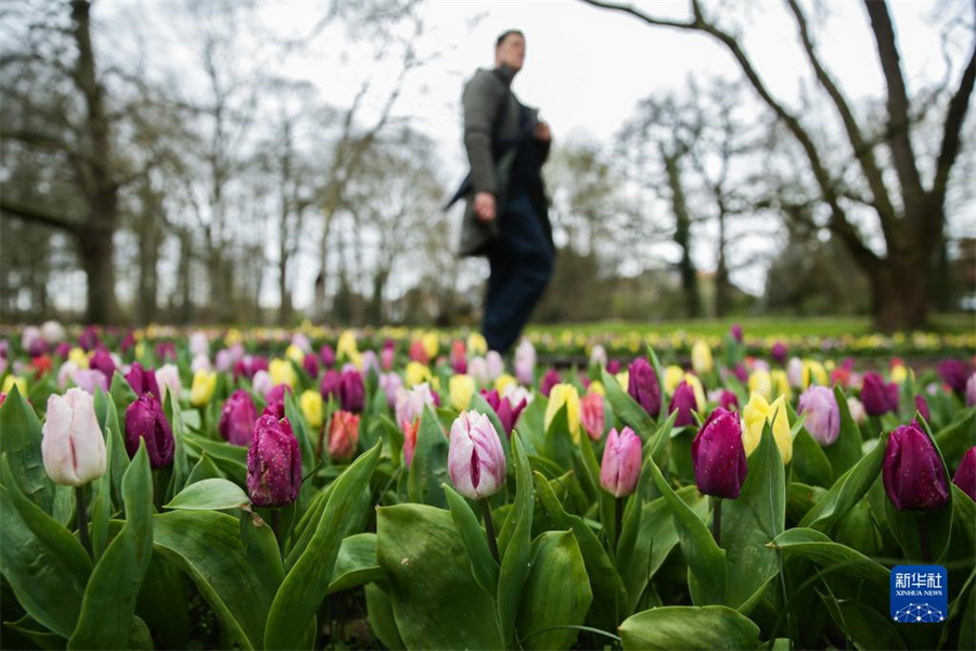 47գιڱʱ׶³İݼӵǳǱ԰ֹۿʻչ20첼³ʻչ4154ڲ³İݼӵǳǱ԰־С»֣