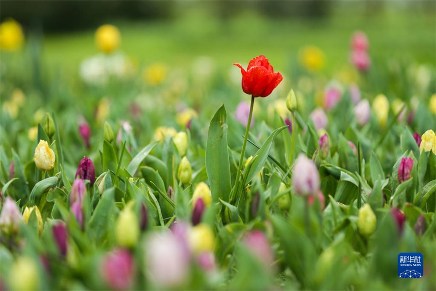 47ڱʱ׶³İݼӵǳǱ԰Ļܡ20첼³ʻչ4154ڲ³İݼӵǳǱ԰־С»֣