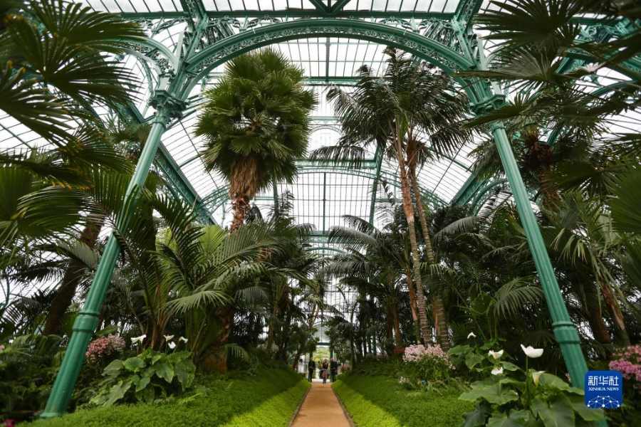 414գڱʱ³ιϹҡ» ֣ 