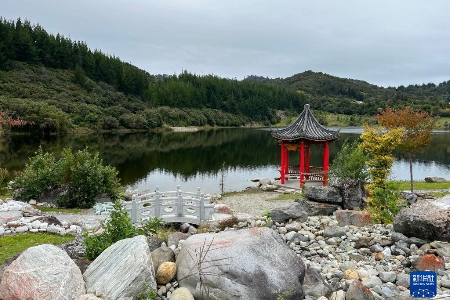 429˹Խ԰һǡ»緢ֶ 㣩