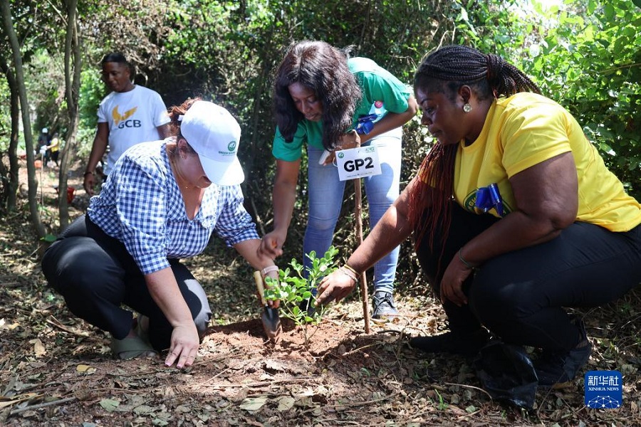 69գ־Ըڼ׶һƬֵ硣