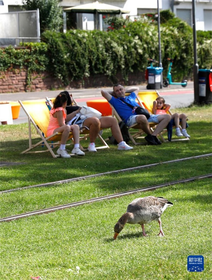 78գڵ¹˸һƺСգ¹˸ӭ» ŷ 