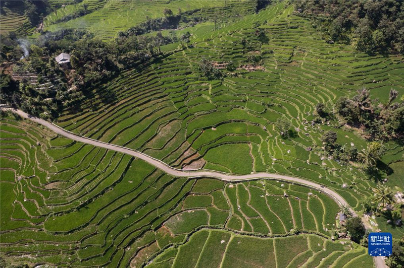 720ӡצʡïĵ˻Ƭǰֵջ񼾡»緢ά㣩