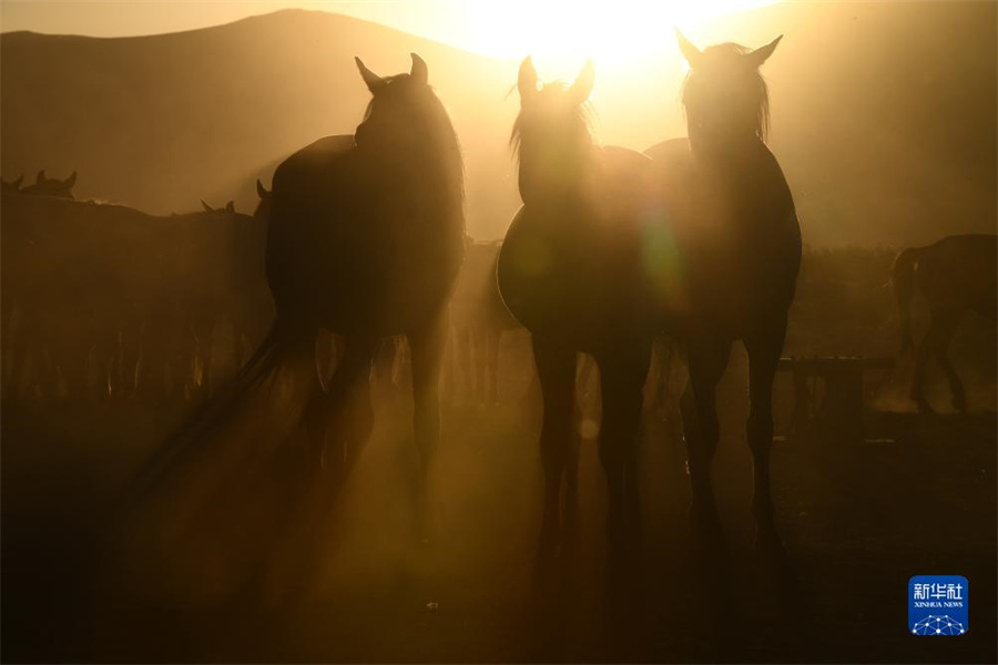 85俪ʡյϹҹ԰Ⱥ»緢˹㣩