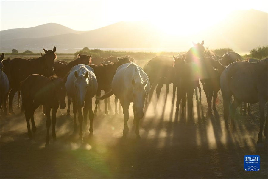 85俪ʡյϹҹ԰Ⱥ»緢˹㣩