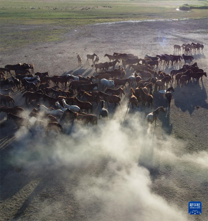 85俪ʡյϹҹ԰ĵȺ˻Ƭ»緢˹㣩