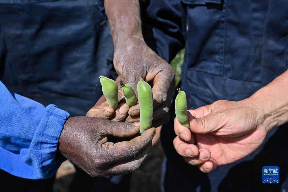 927գλڶǰ˹ũҵԮĿʾأйԮڸ߼ũҵר鶹רһ뵱ũȶԲ϶״̬»  