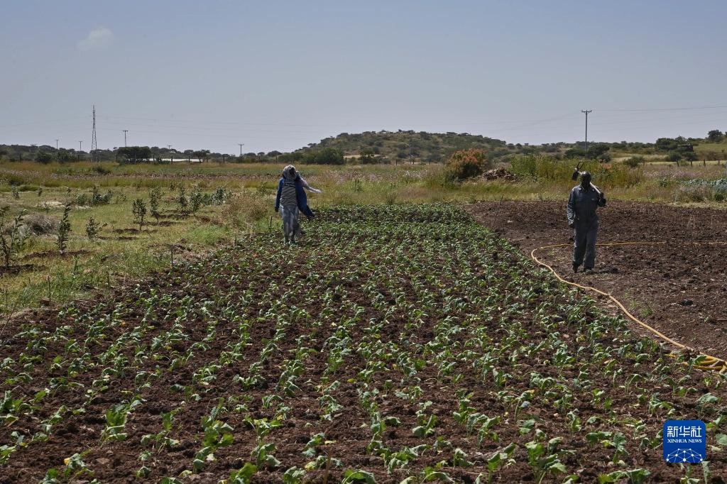 927λڶǰ˹ũҵԮĿʾһ硣»  