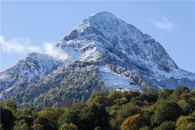 ˹˹ǲɾɫ ɽѩο͹۹