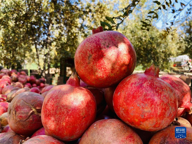 1110ڰϲʡջʯ»緢ʵ㣩