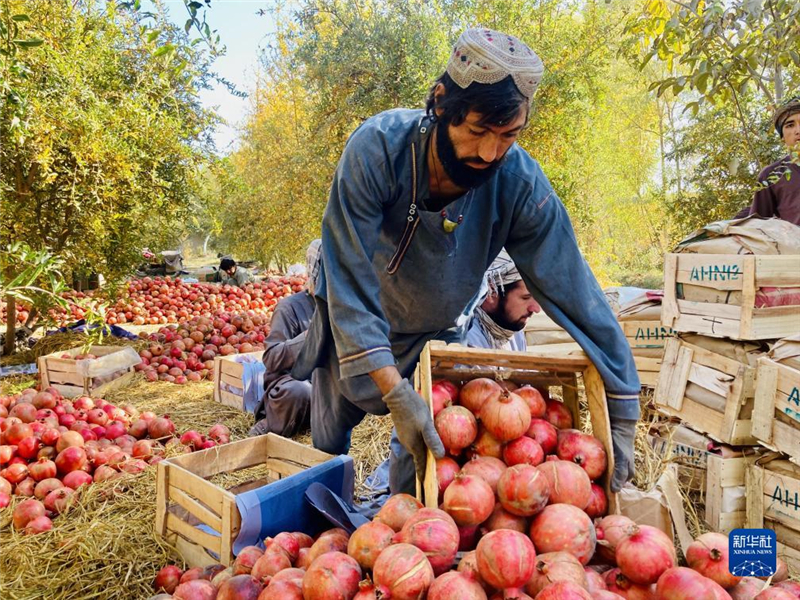 1110գڰϲʡũջʯ»緢ʵ㣩