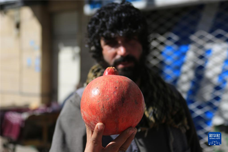 1110գڰ׶̷չʾ԰ϲʡʯ»緢㣩