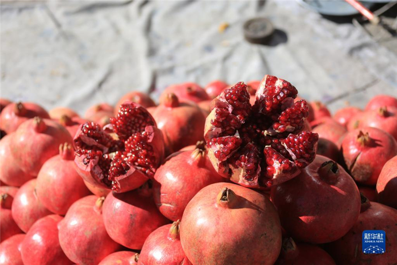 1110գڰ׶һ̯λ԰ϲʡʯ»緢㣩