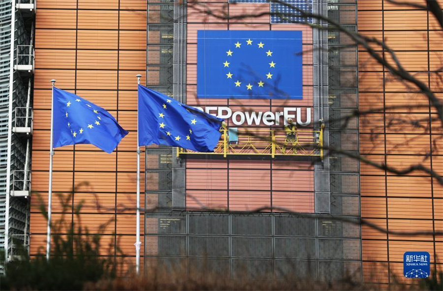 1115ڱʱ³ŷίԱܲһǡ» Զ 