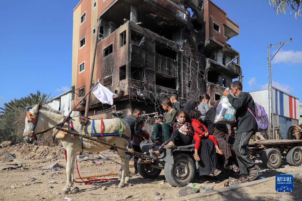 1118գڼɳشϲ˹̹Ǩơ