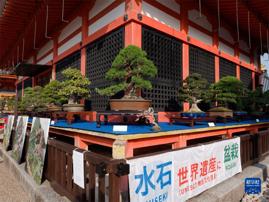 1124ձˮˮʯչֳ» Ц 