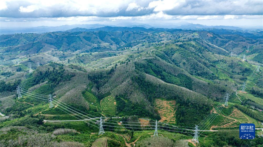 1219̩ǿ̰߷·˻Ƭ»  