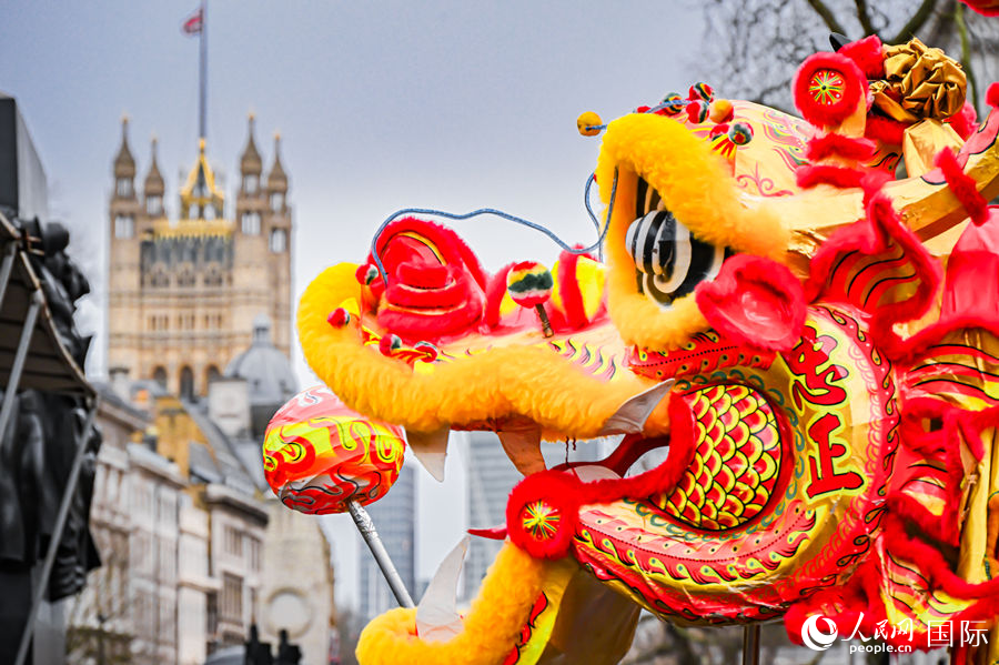 2024���׶�Ԫ���������ֳ��������� ��������