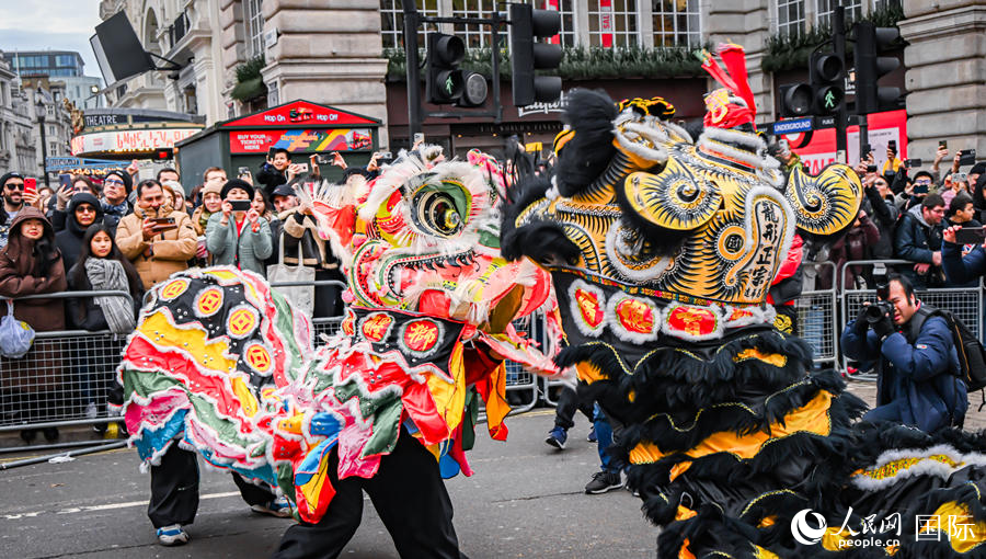 2024���׶�Ԫ���������ֳ��������� ��������